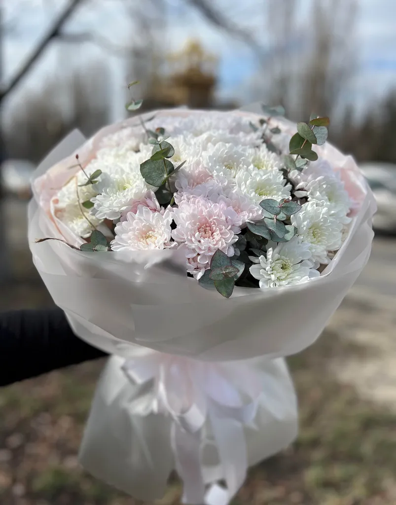 Маргаритка